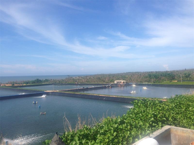 水產養殖防滲膜